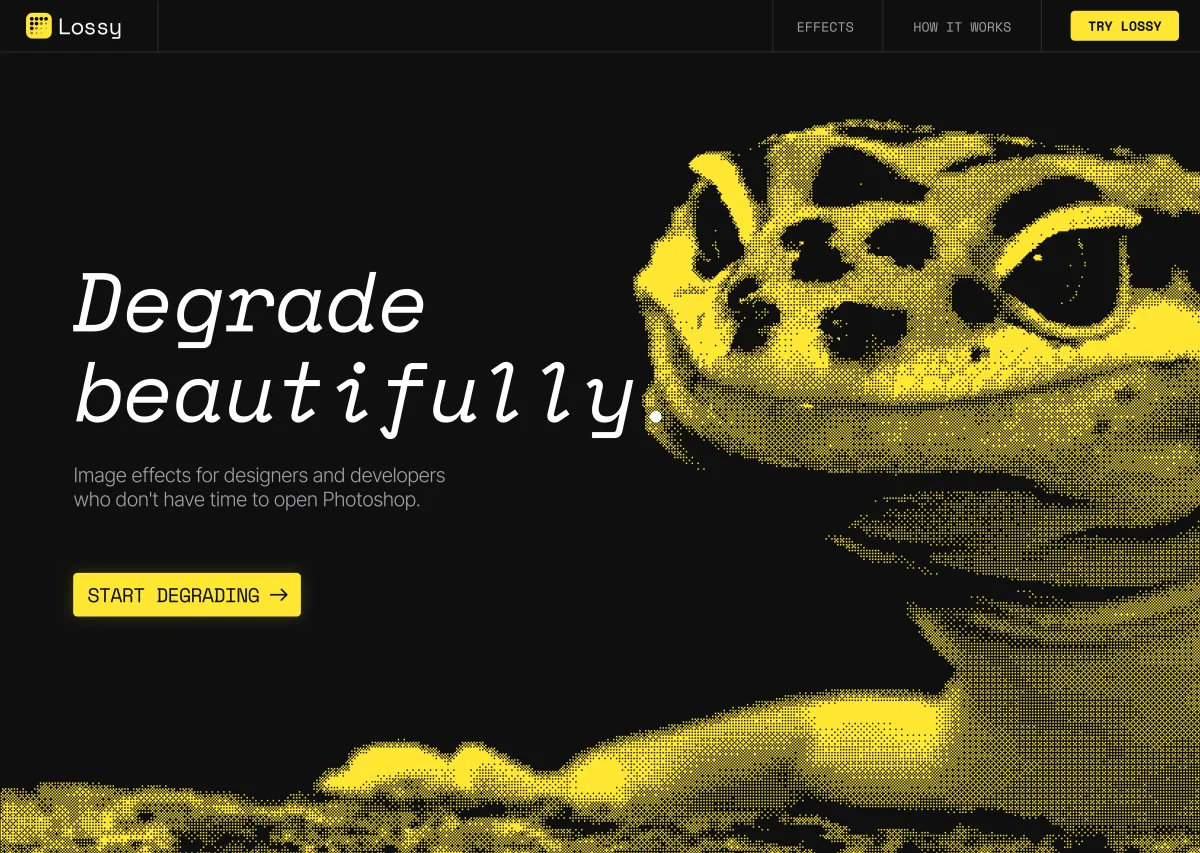 Lossy Landing Page 1